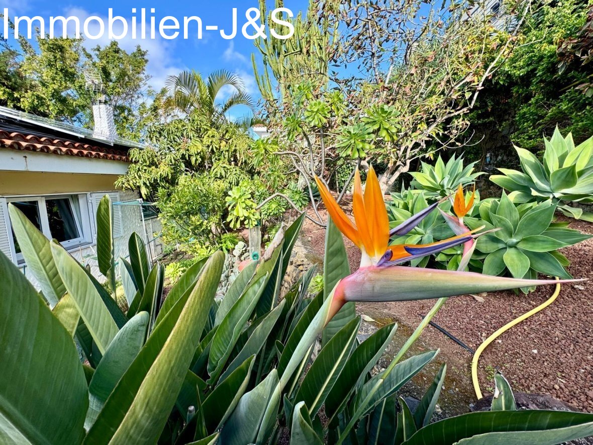 Traumhaus in Puntillo del Sol mit phantastischem Atlantikblick