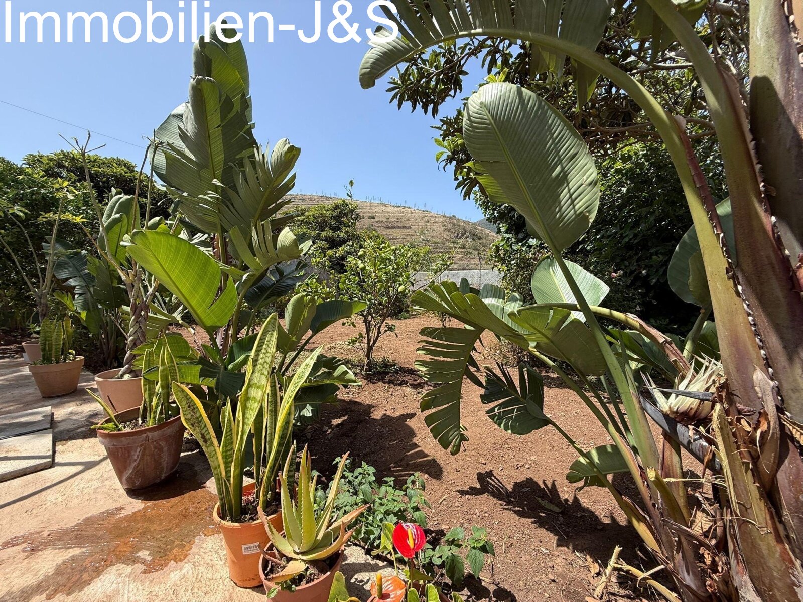 Authentisches Kanarisches Landhaus in El Palmar
