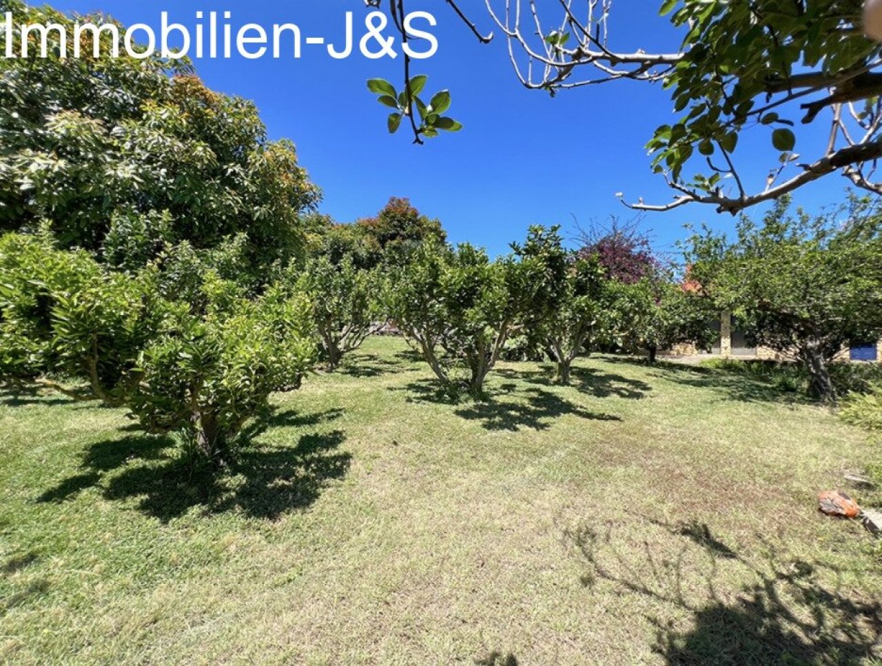 Garten Garten