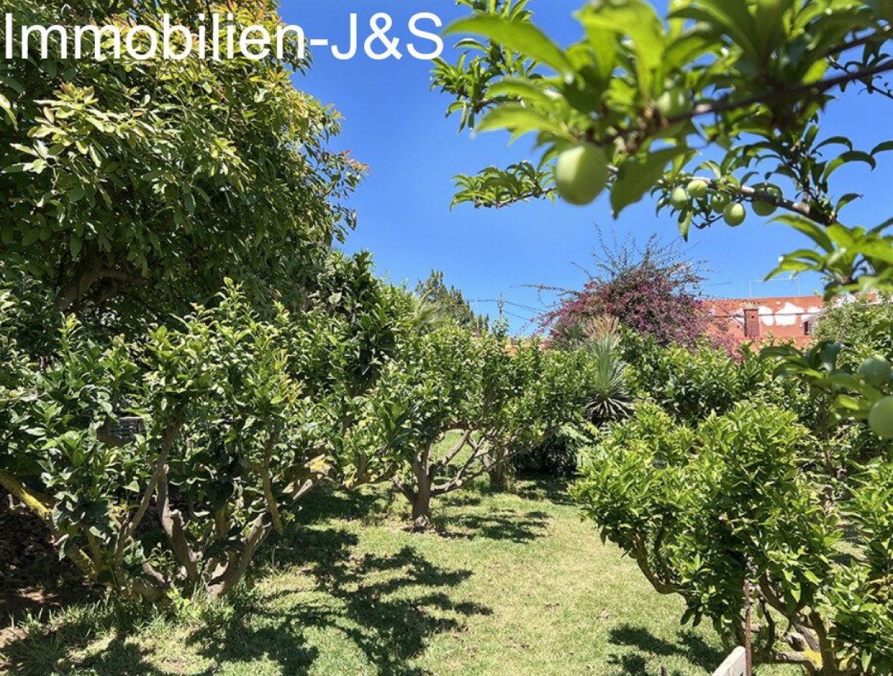 Garten Garten