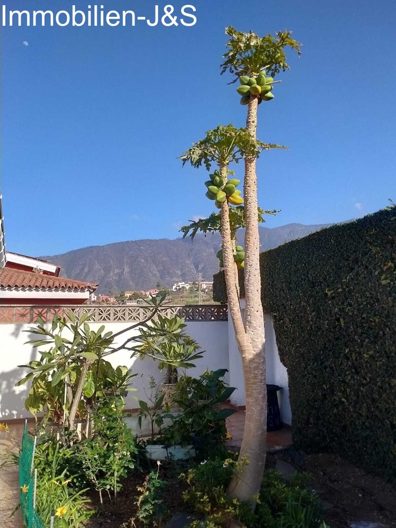 Garten Garten