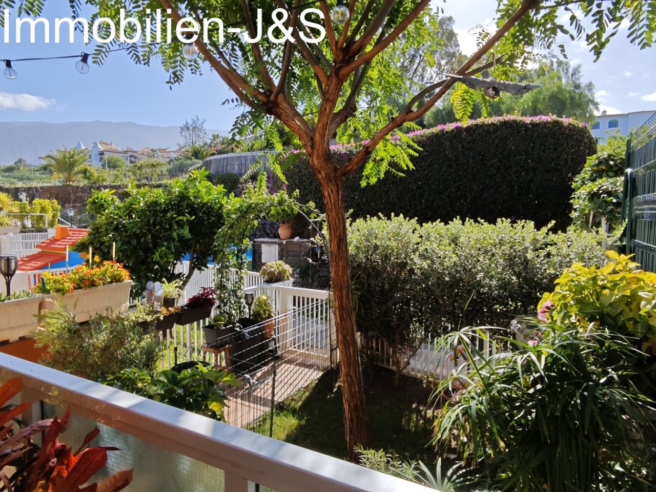 Kleiner Garten Kleiner Garten