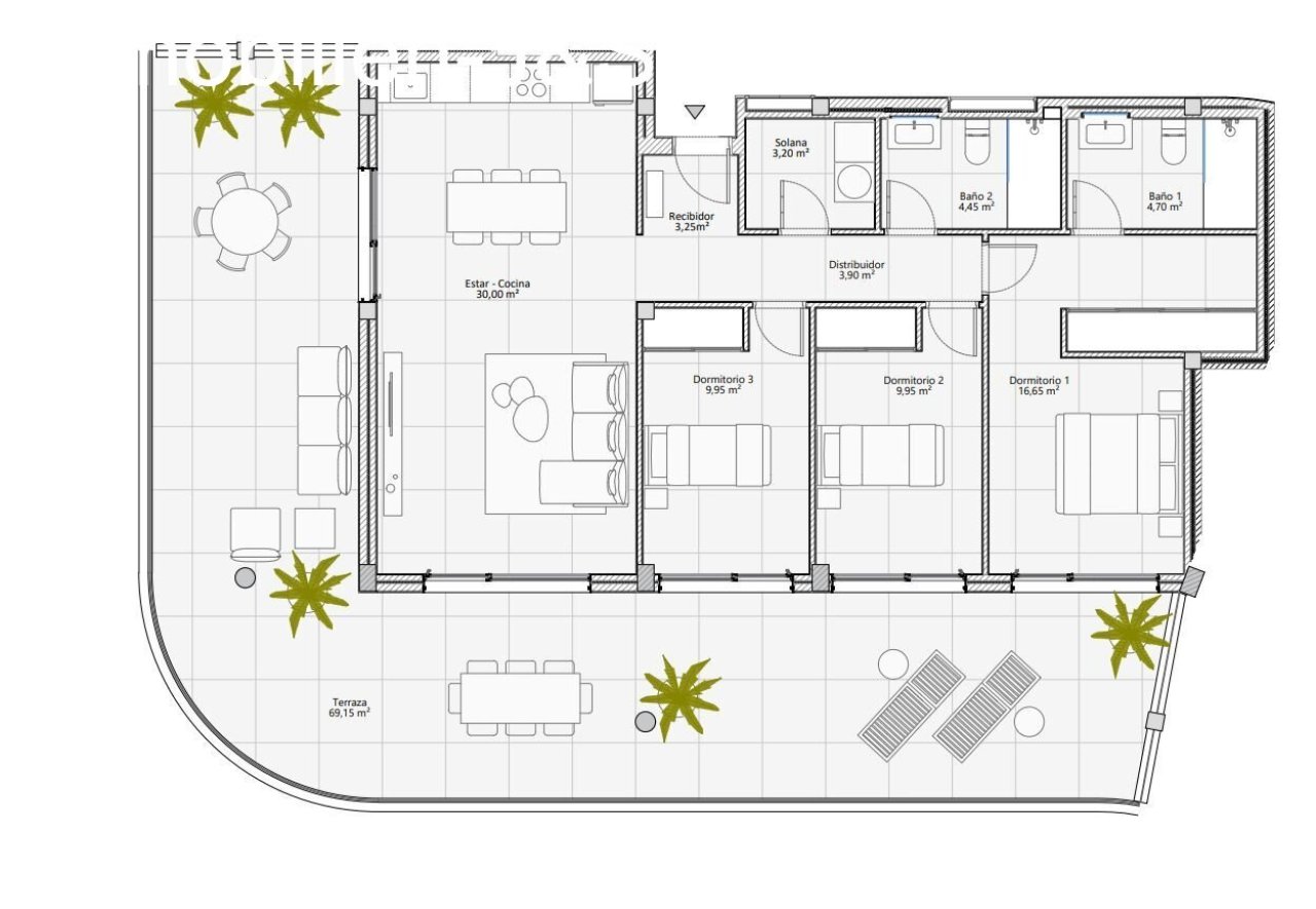 Plan Plan