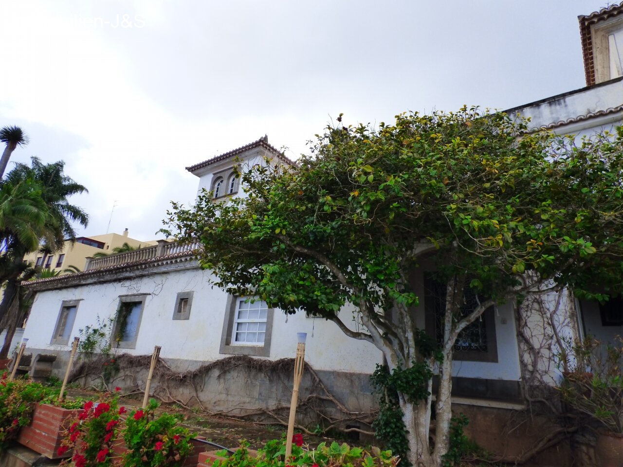 Beautiful, historic mansion in Tacoronte