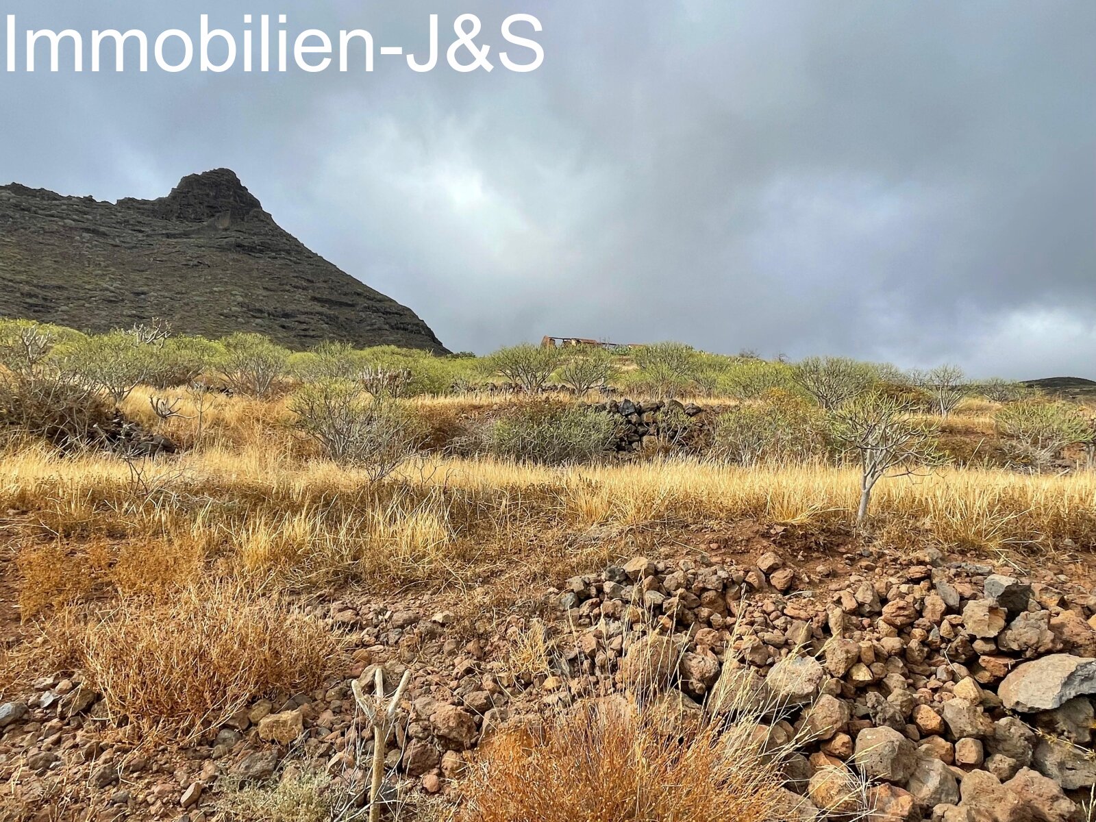 Huge rustic land with 3 buildings in Arona Pueblo