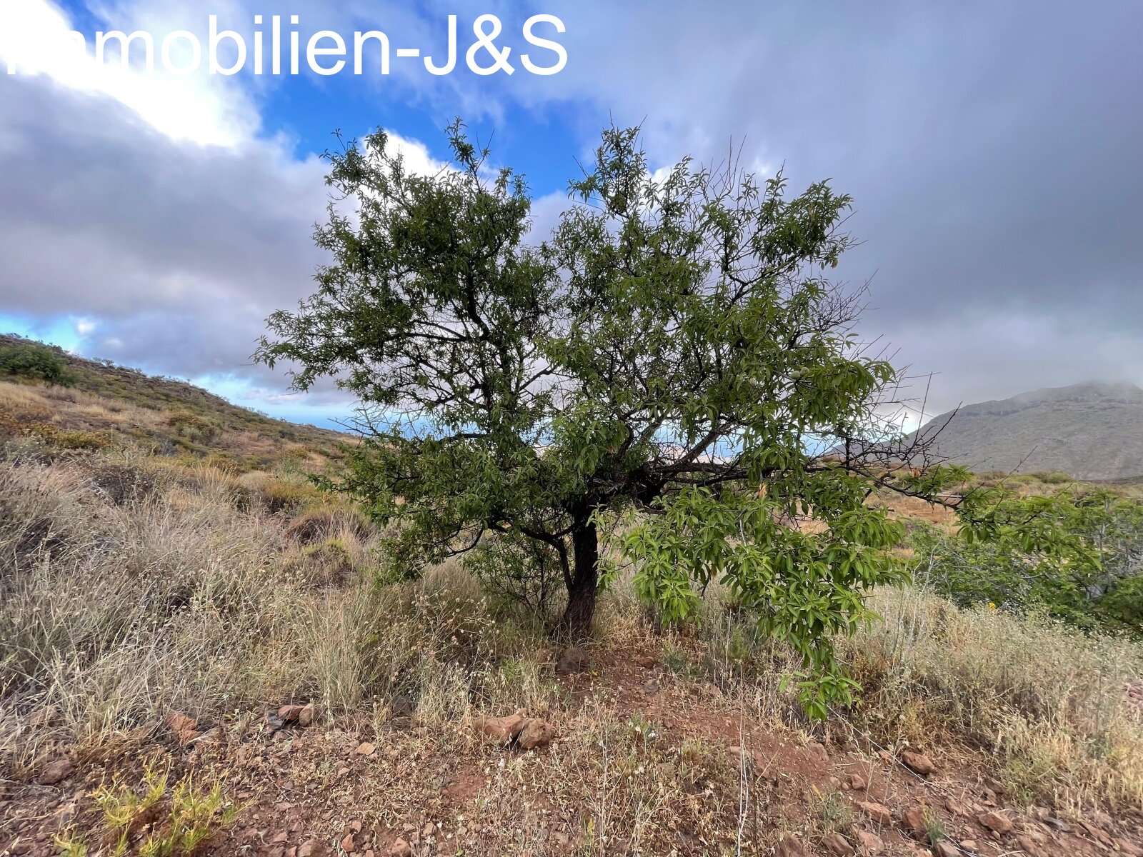 Huge rustic land with 3 buildings in Arona Pueblo