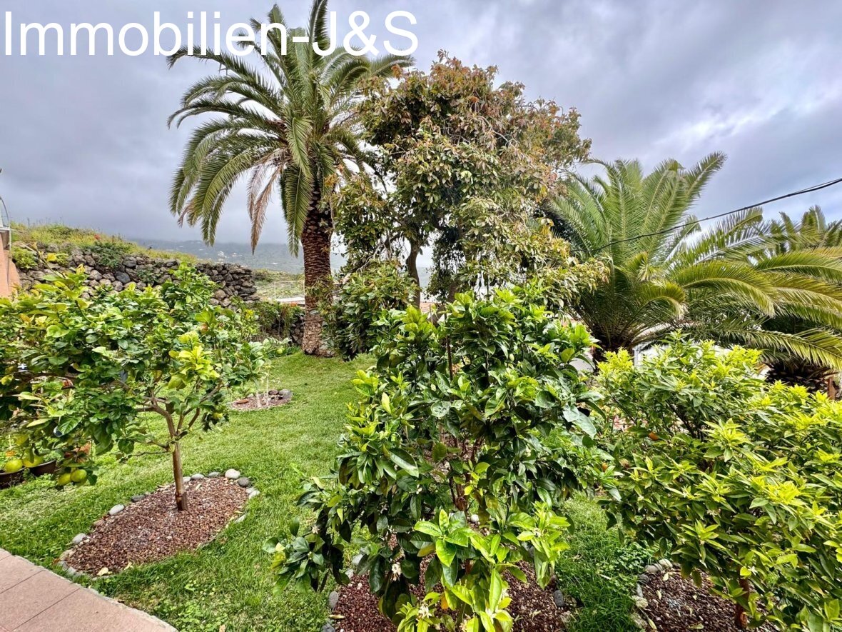 Charming house with large garden, sea and Teide views in Icod de los Vinos