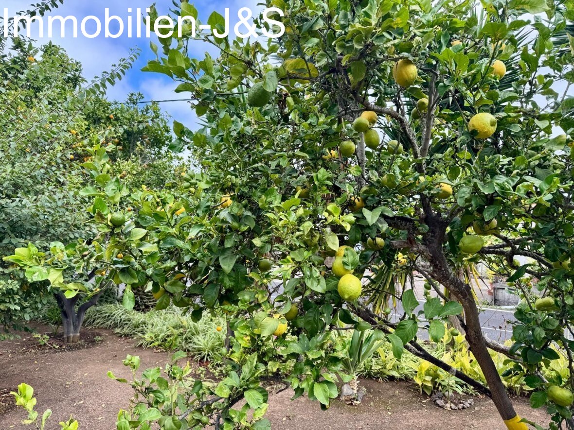 Exceptional property with panoramic views and active catering license in the north of Tenerife