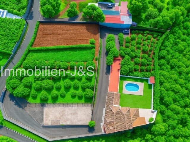 Where Quality of Life Meets ROI: Extraordinary Finca in La Esperanza