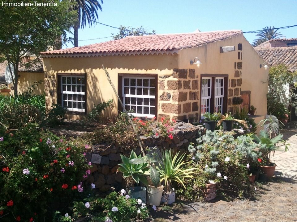Central house 