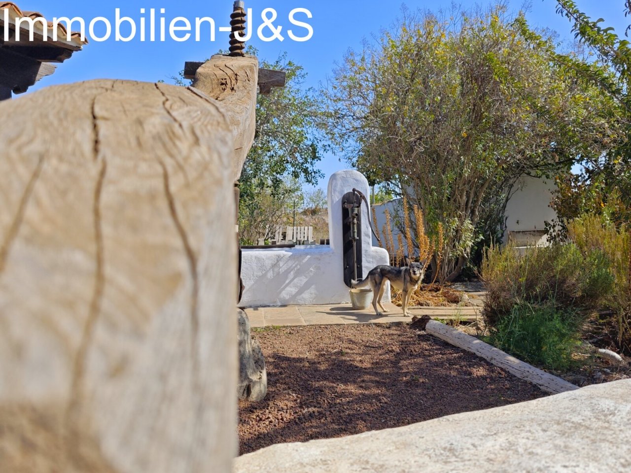Garden Garden