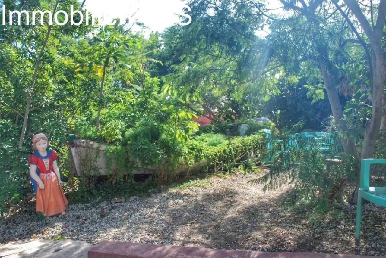 Outdoor area Outdoor area