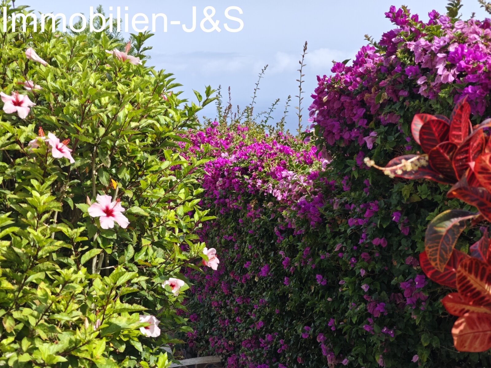 Garden Garden