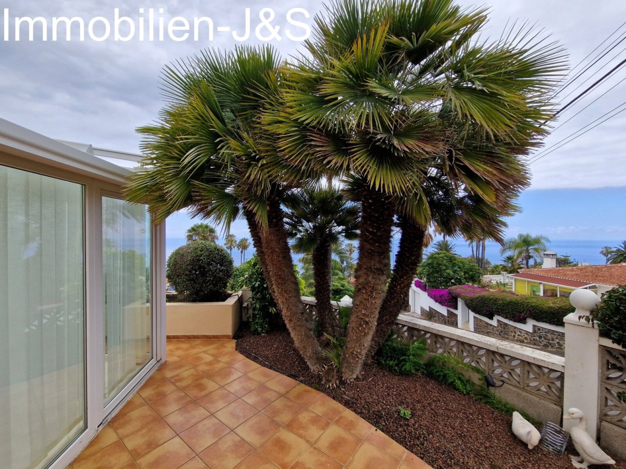 View of the winter garden