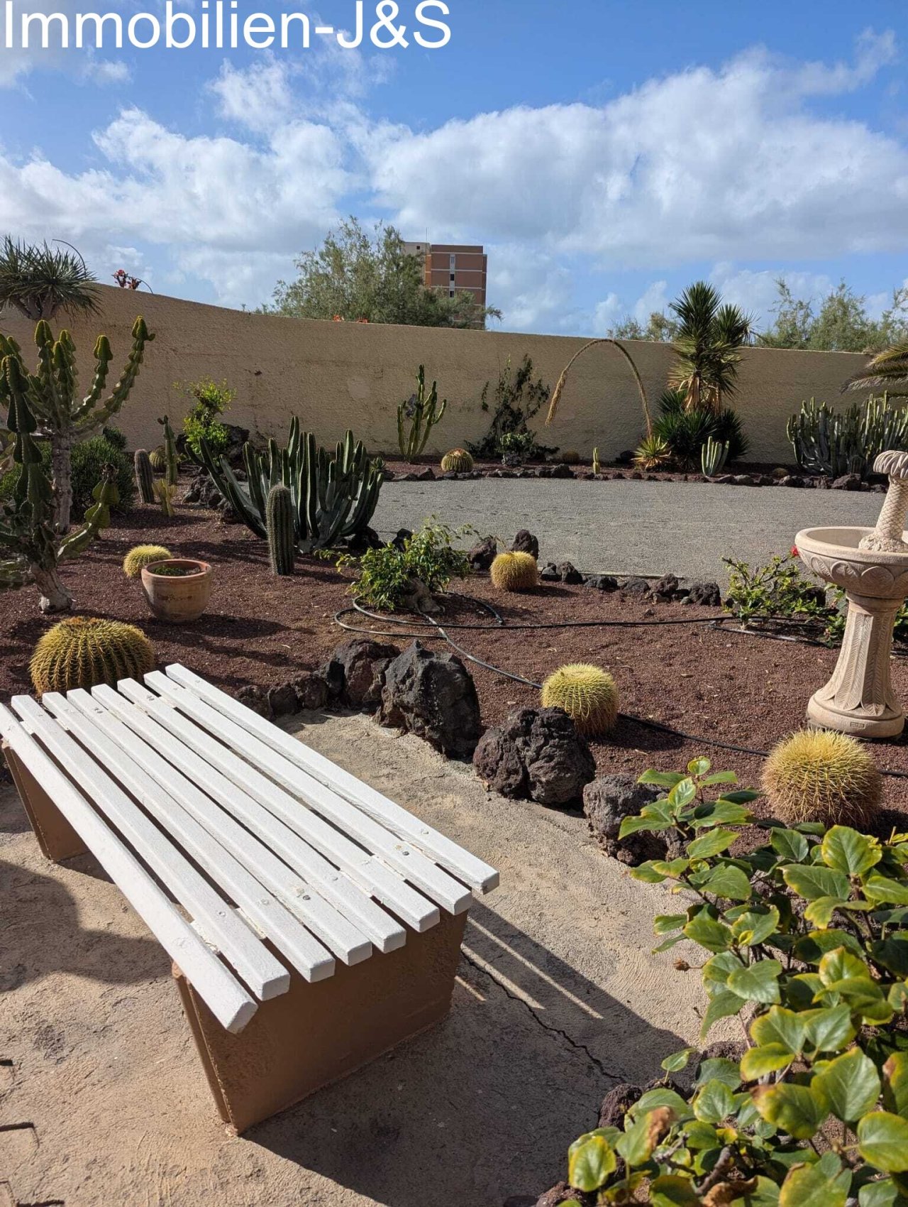 The generously designed outdoor area impresses with its extensive communal spaces, a well-tended cactus garden, and cozy seating options that invite you to linger under the Tenerife sun.