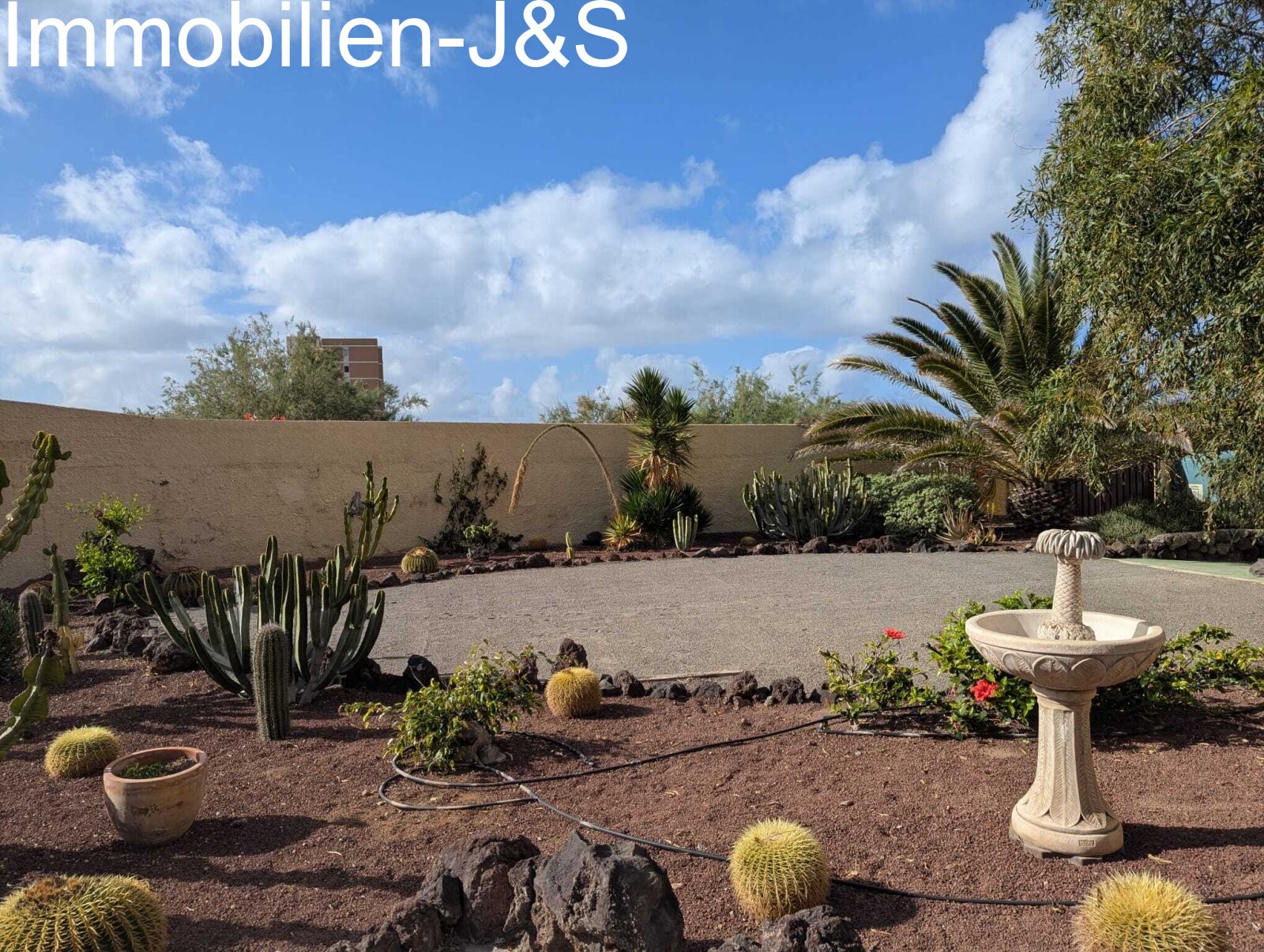 The generously designed outdoor area impresses with its extensive communal spaces, a well-tended cactus garden, and cozy seating options that invite you to linger under the Tenerife sun.