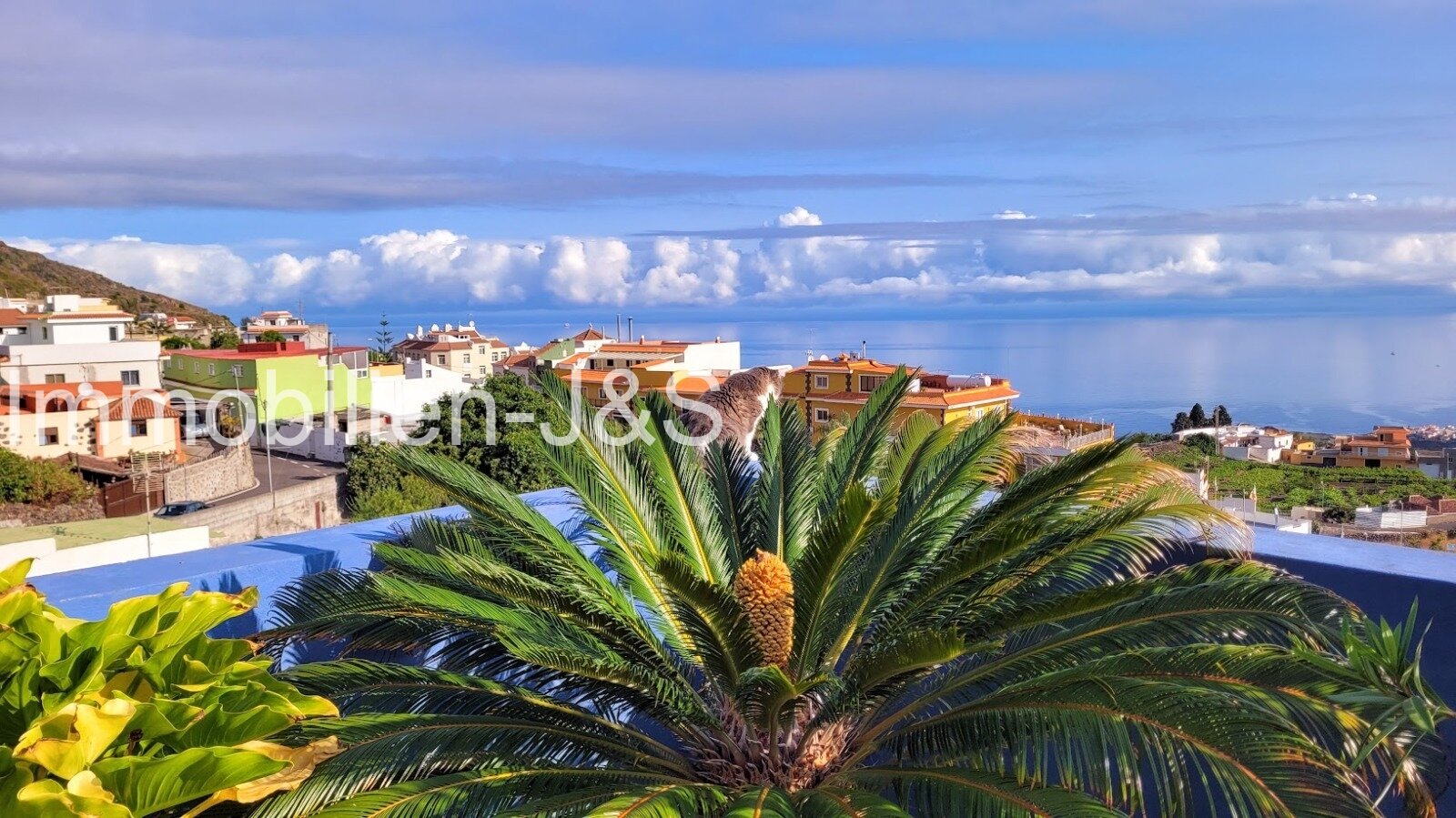 Views of the ocean and mountains (left view)