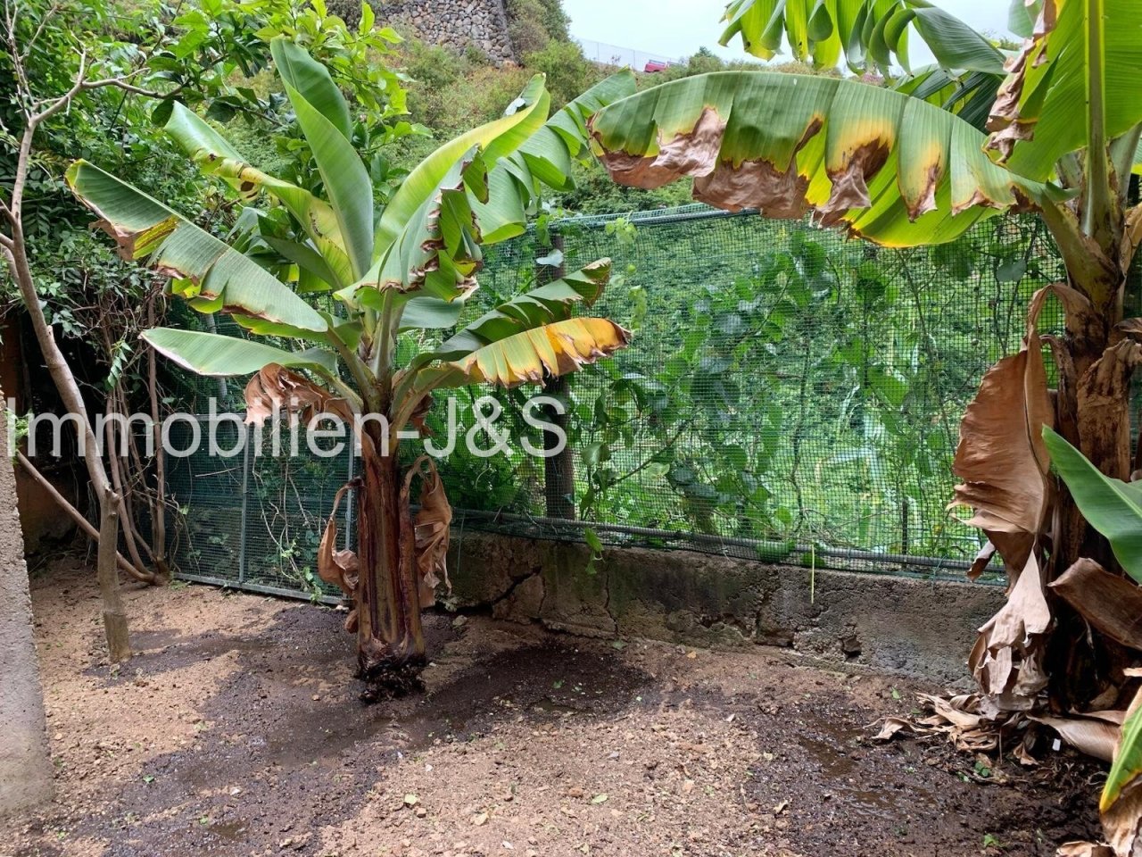 Garden Garden