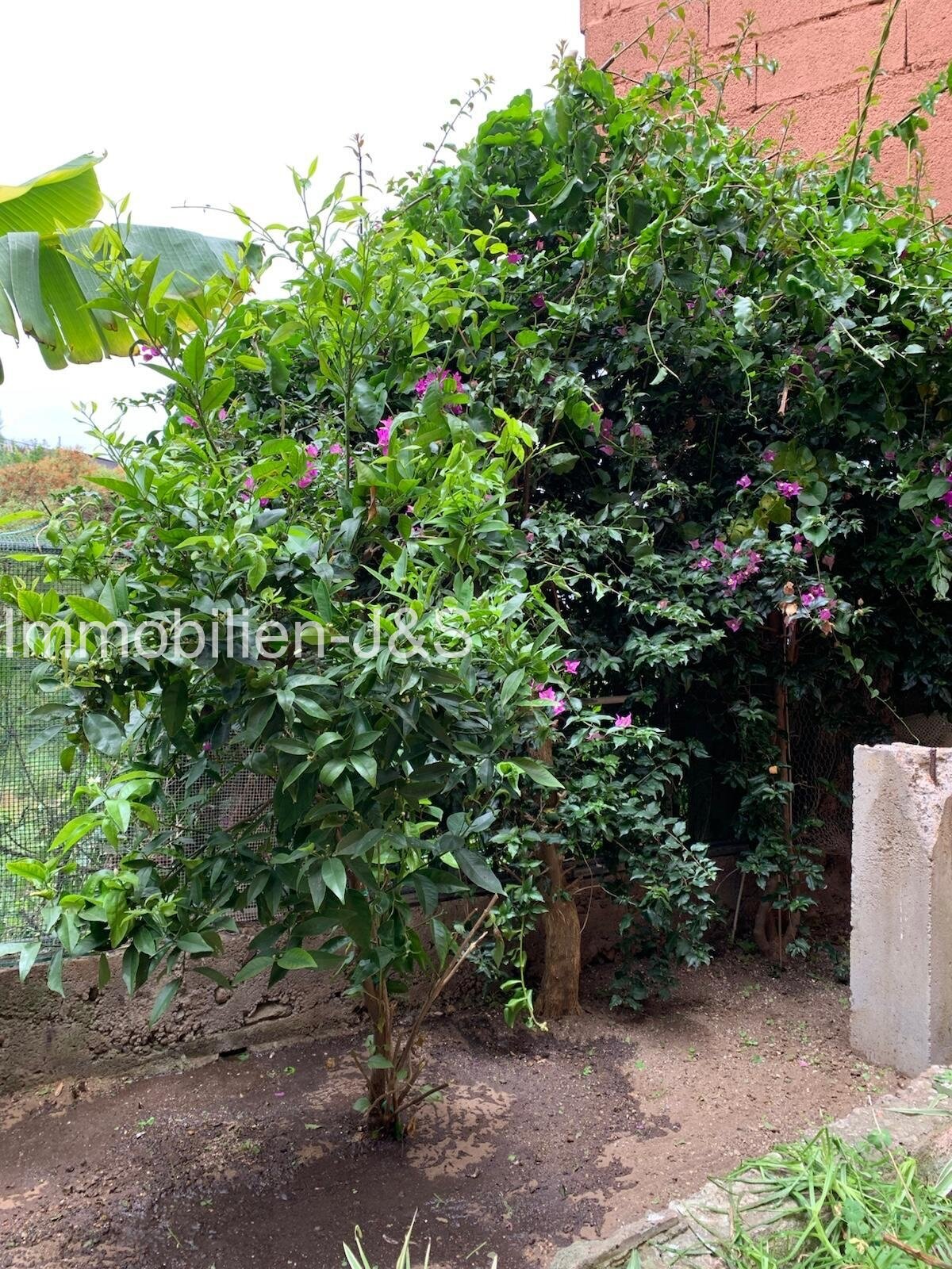 Garden Garden