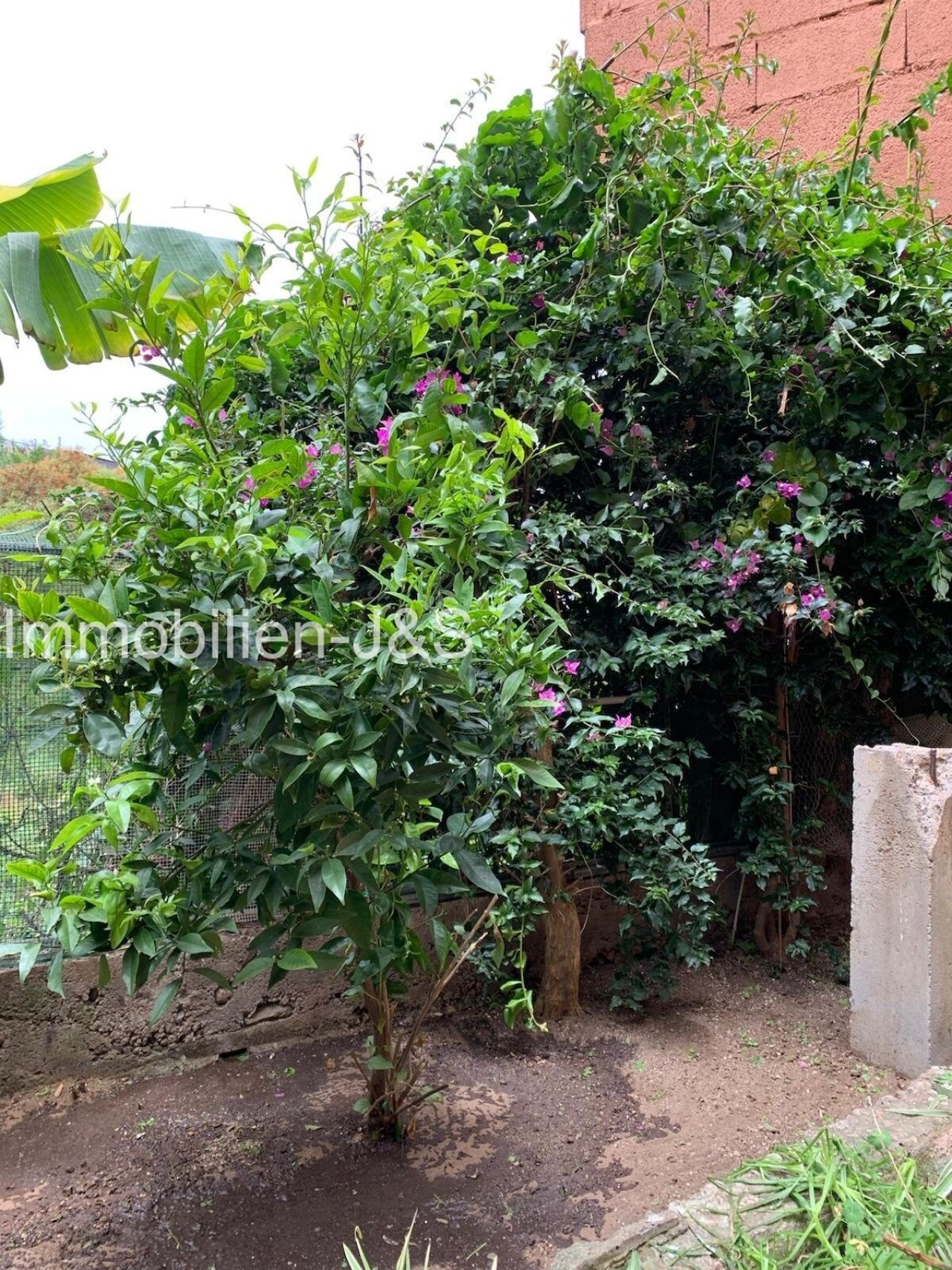 Garden Garden