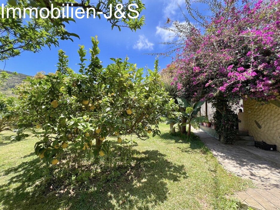 Magnífico chalet con gran jardín en Orotava