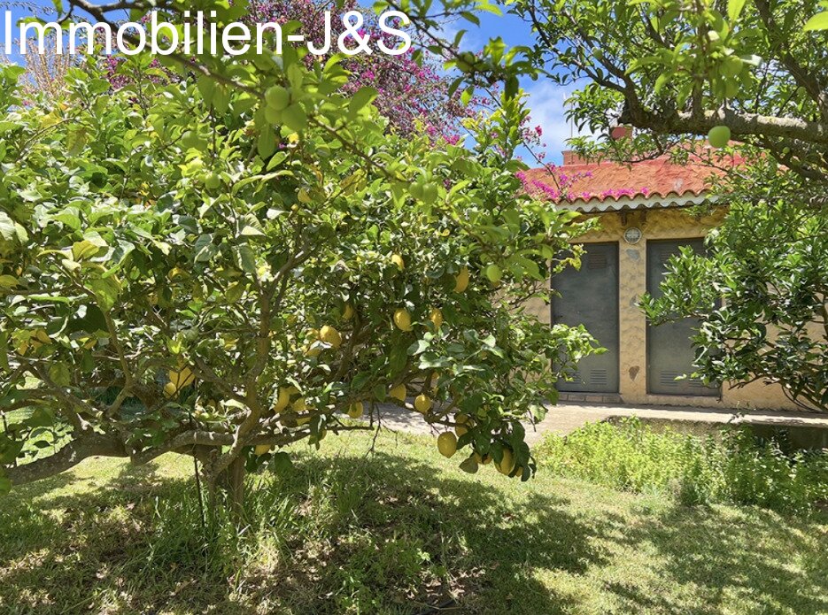 Magnífico chalet con gran jardín en Orotava