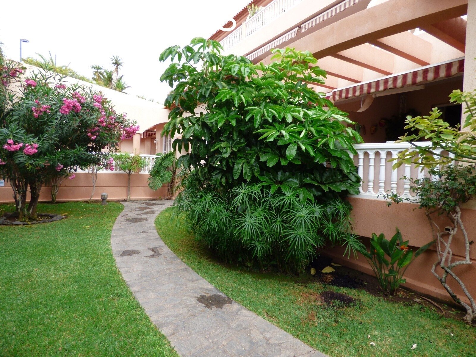 Acogedor apartamento con gran terraza en primera línea de mar con plaza de garaje