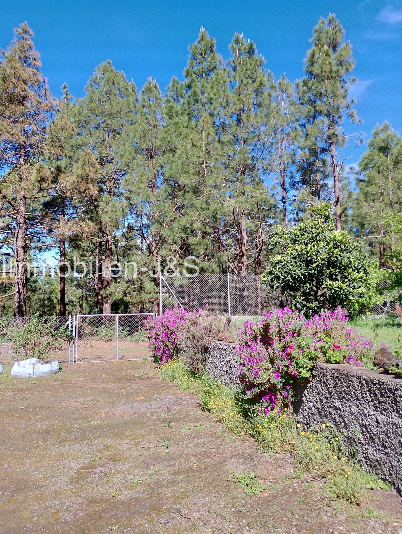 Un santuario para el alma: una casa maravillosa en La Montañeta“