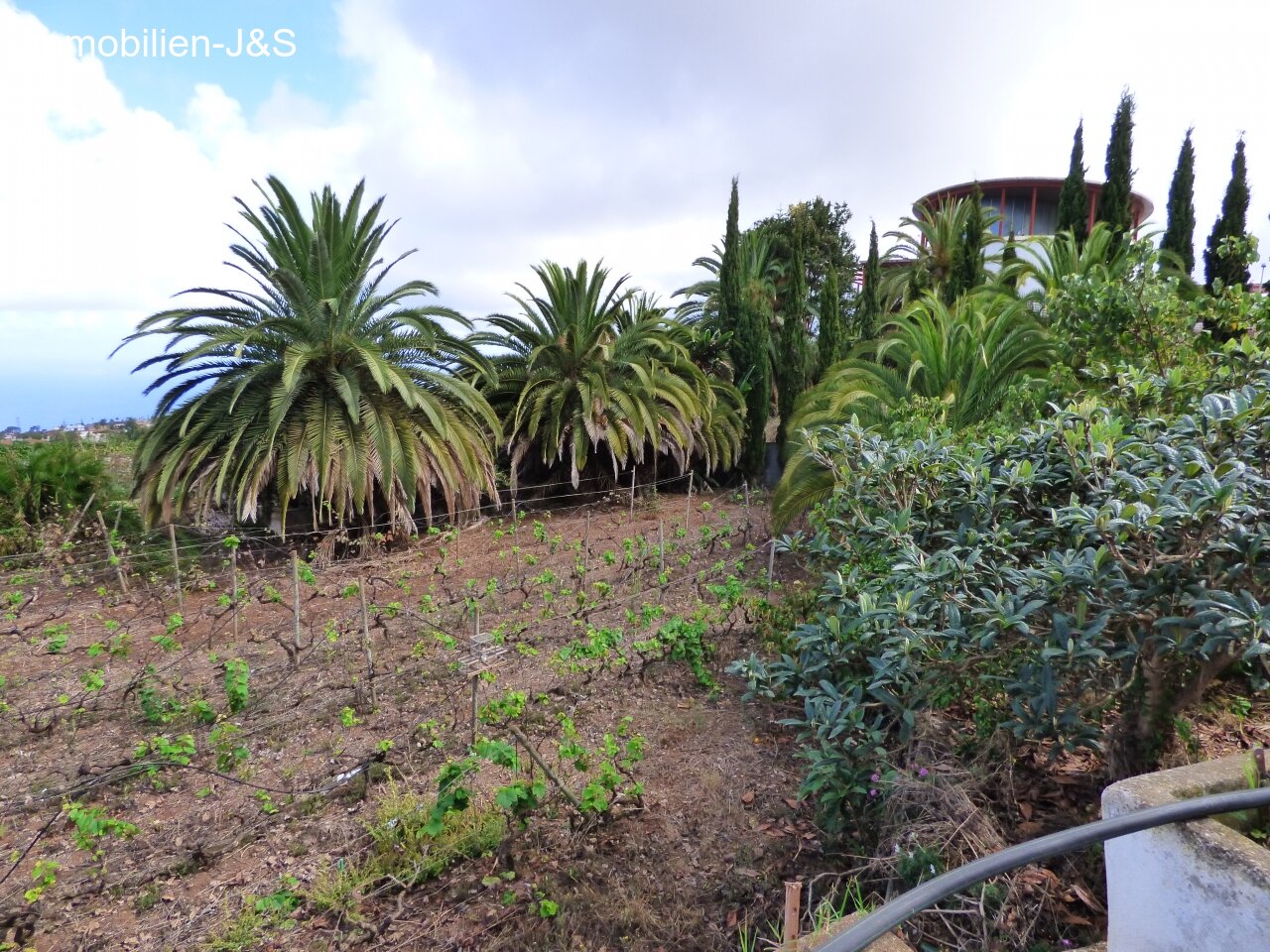 jardín jardín