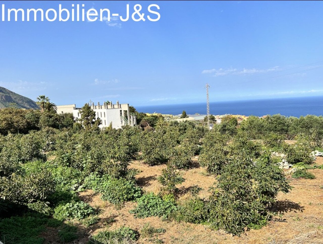 Jardín Jardín