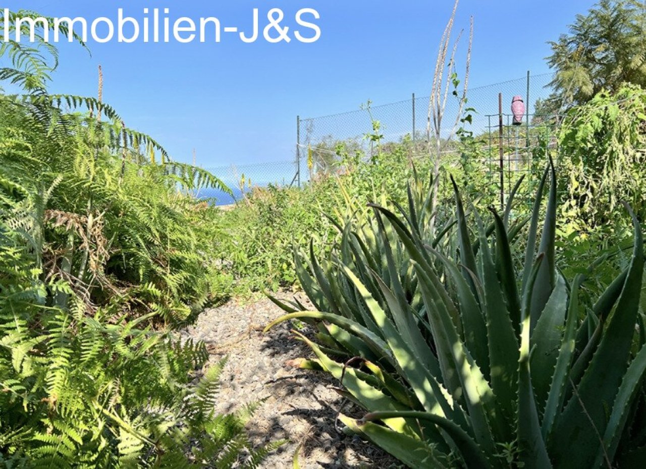 Jardín Jardín