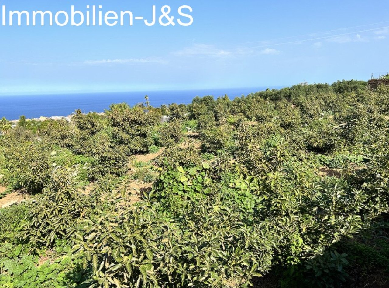 Jardín Jardín