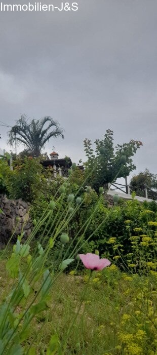 Jardín Jardín
