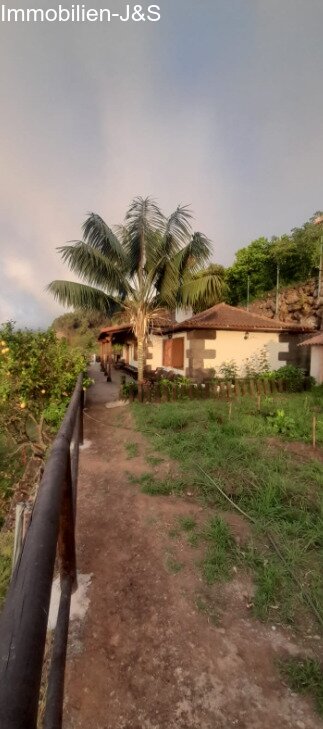 Jardin Jardin