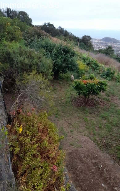 Jardin Jardin