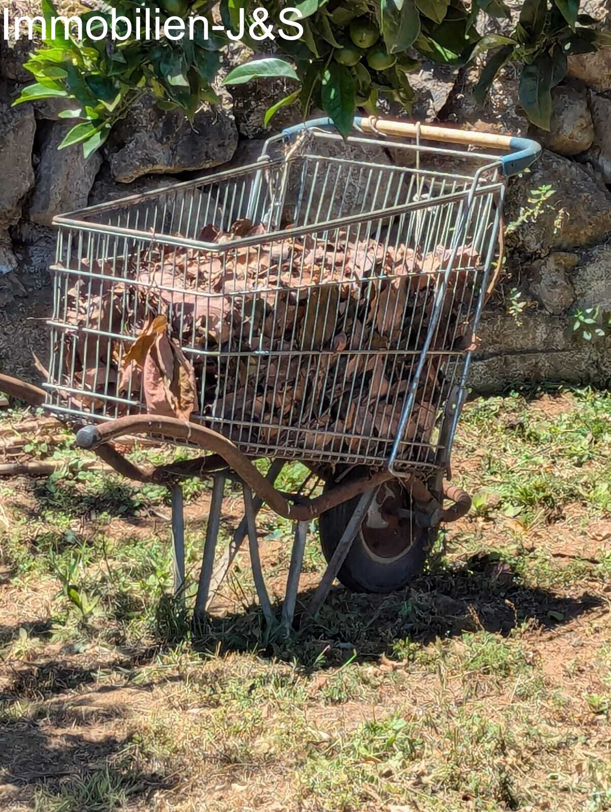 Jardín Jardín