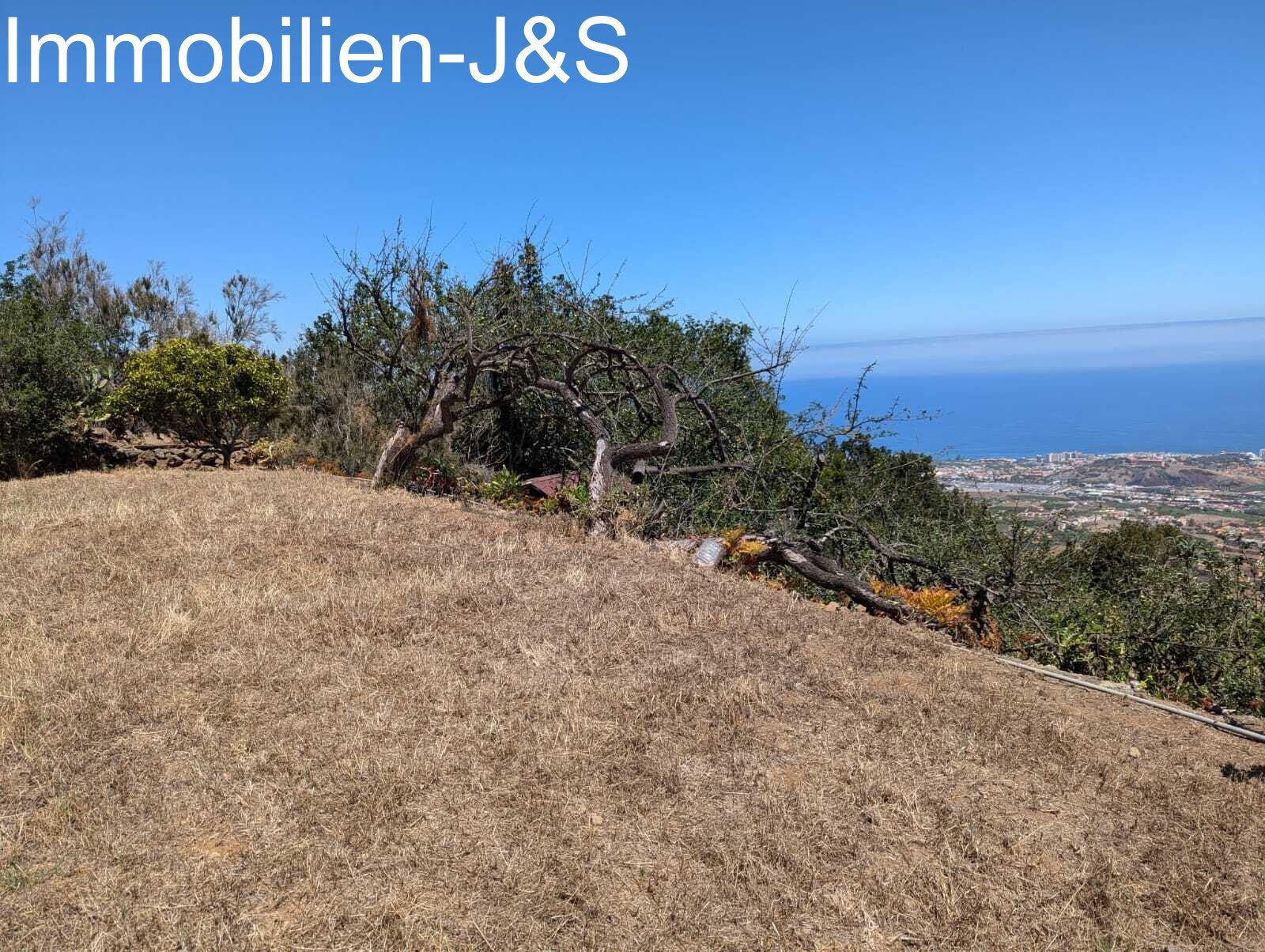 Jardín Jardín