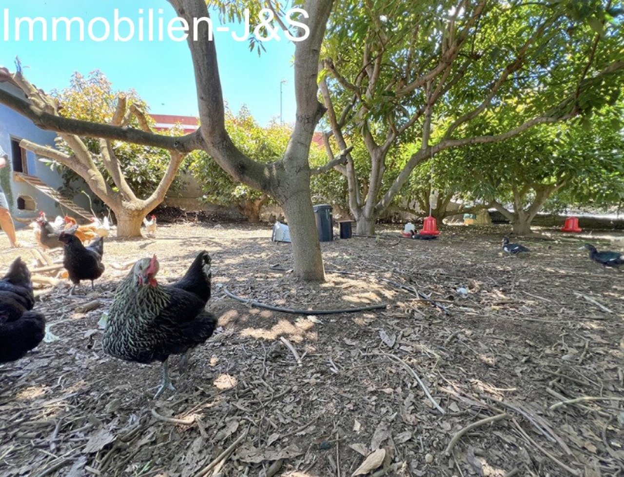 Jardín Jardín