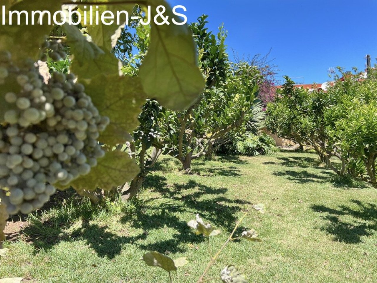 Jardín Jardín