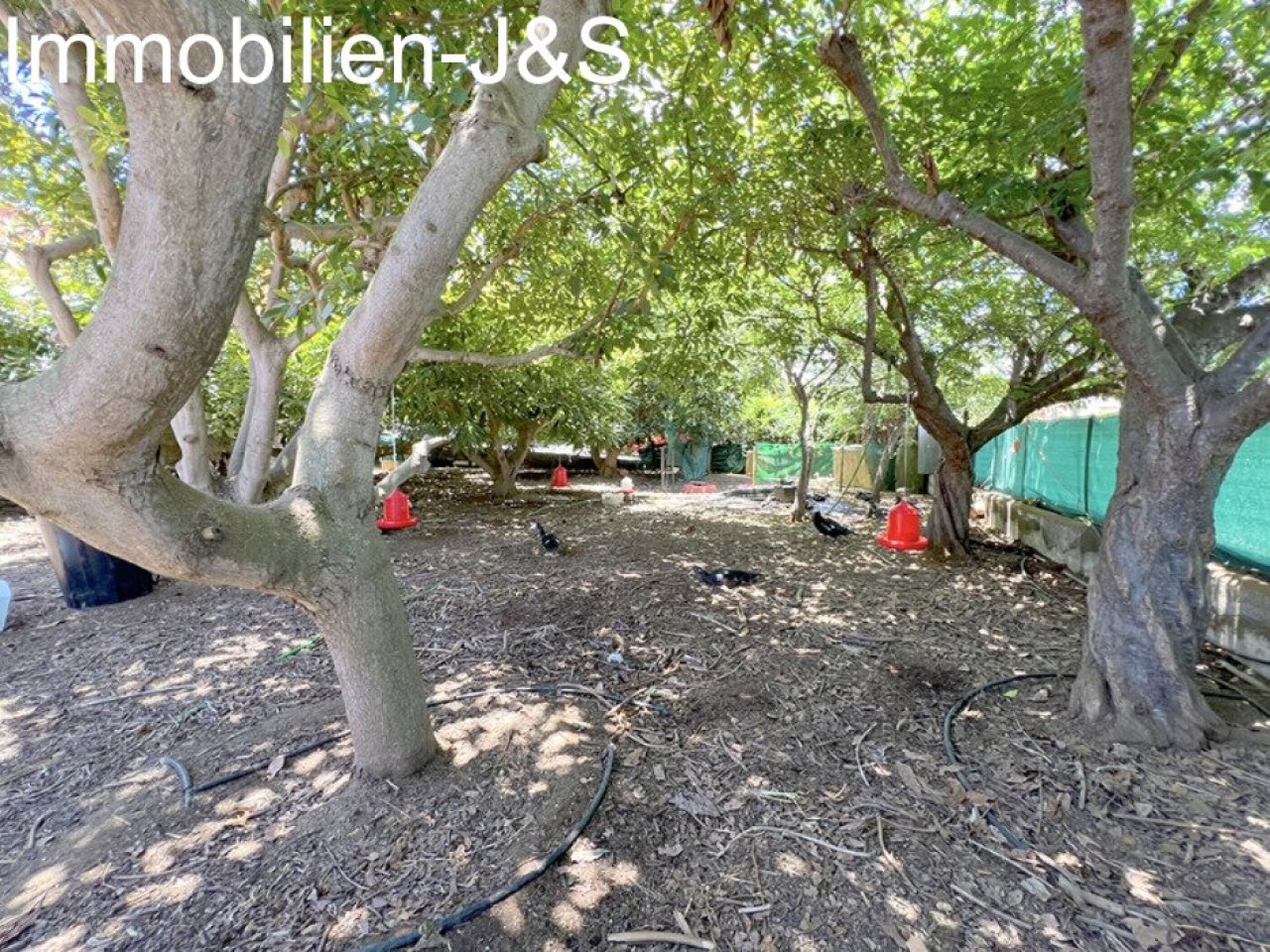 Jardín Jardín