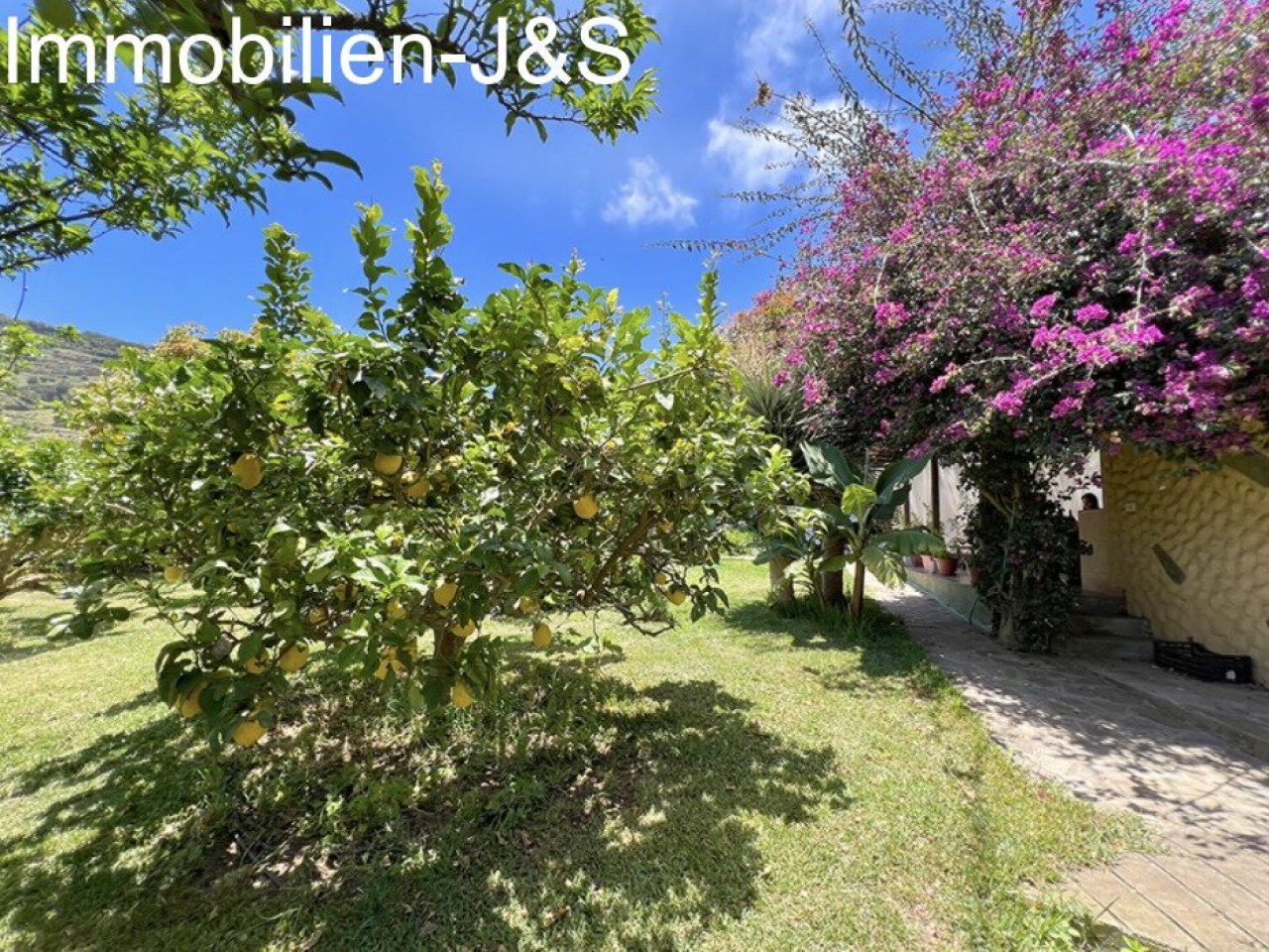 Jardín Jardín