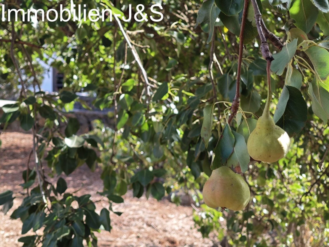 Jardín Jardín