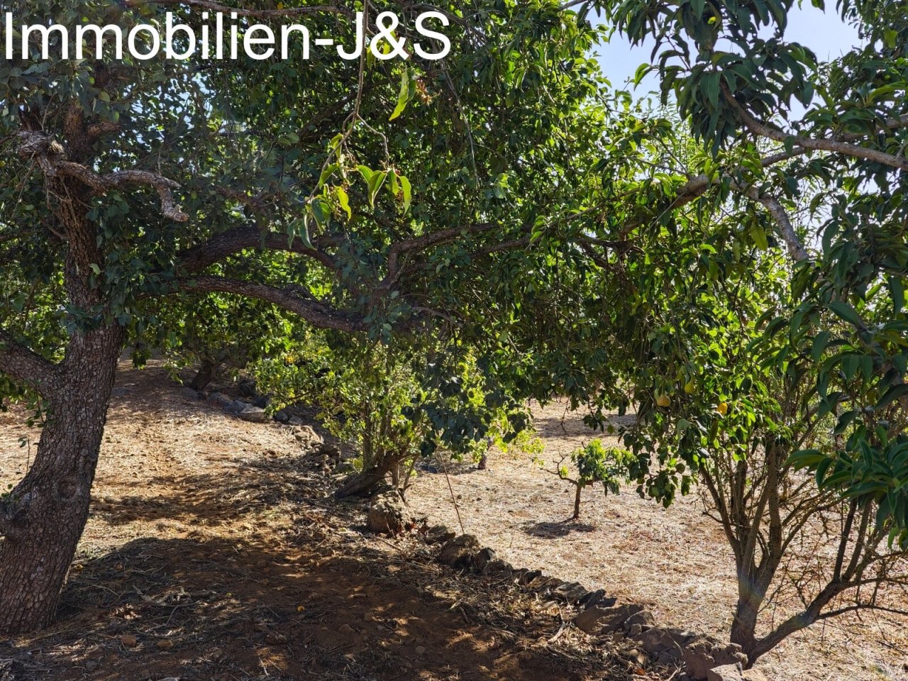Jardín Jardín