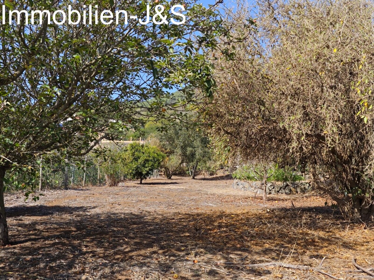 Jardín Jardín