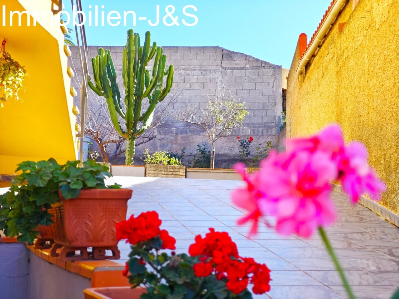 Jardin Jardin