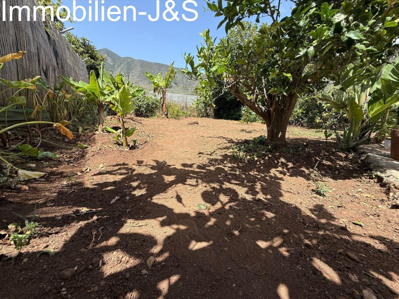 Jardín cuidado con plantas mediterráneas y árboles frutales