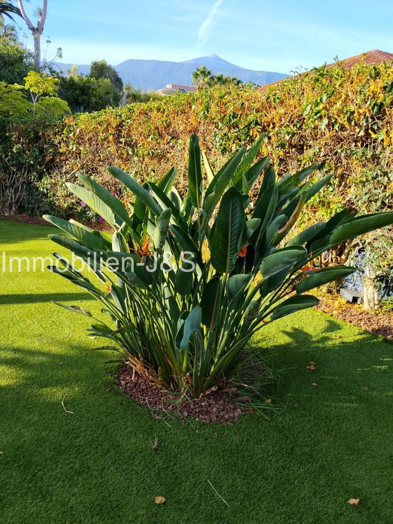 Jardín Jardín